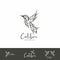 Colibri logo line art drawing logo template