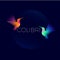 Colibri logo. Two colorful hummingbirds on dark background.