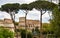 Coliseum Roma view garden