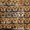 Collage of 25 Bengal Cats faces
