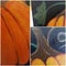 Collage of acrylic pumpkin painting
