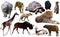 Collage with African mammals and birds