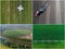 Collage of agricultural works shoot from drone