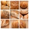 Collage - baked bread