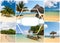 Collage of beach holiday scenes