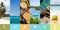 Collage beach summer in abstract style. Mockup, space for text. Beautiful beach. Tropical vacation background with tropical sandy
