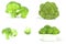 Collage of broccoli cabbage isolated over a white background