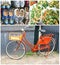 Collage characteristic Dutch retro bike & souvenirs,Amsterdam,Netherlands