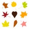 Collage of colorful autumn leaves, drawing objects