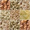 Collage consisting of different rice grains
