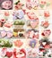 Collage of cookies decorated