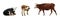 Collage of cows on background, banner design. Animal husbandry