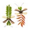 Collage craft dragon flies, autumn crafts made of natural materials.