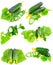 Collage of Cucumbers on white background.