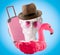 Collage of David`s head, inflatable flamingo, hat, pink glasses and suitcase on  blue background. Summer travel poster concept