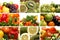 A collage of different fresh and tasty vegetables