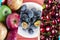 Collage of different fruits. Plum, apples and cherries, a set of  photos