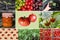 Collage of different Organic Tomatoes and plants