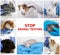 Collage with different photos and text STOP ANIMAL TESTING