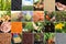 Collage with different photos of vegetables, legumes and seeds. Vegan lifestyle