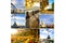 Collage from different pictures of beautiful views of autumn St. Petersburg. Russia