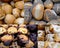 A collage of different types of soft toasted buns. Bread products. Popular food for a quick Breakfast with coffee