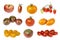A collage of different varieties of tomatoes