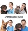 Collage with doctors and pets on white background. Veterinarian clinic