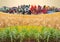 Collage about farm, agriculture, farming. Concept of equipment readiness for agricultural work - for sowing and