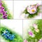Collage floral flowers banner background tulip daisy spring