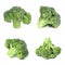 Collage of fresh green broccoli isolated