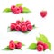 Collage fresh raspberry isolated