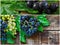 Collage of green and black grapes