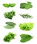 Collage of green and juice spice