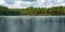 Collage green living forest and reflection in the lake of naked dead forest. The concept of climate change.