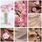 Collage of hair care and hair beauty images with flowers