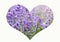 Collage with heart made of violet lavender field background