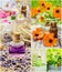 Collage of herbs and essential oil.