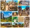 The collage from images of Polonnaruwa, Sri Lanka - temple and medieval capital of Ceylon