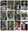 Collage with japanese stone lanterns