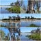 Collage of the lake at Malbup in Tuart National Park near Busselton West Australia.