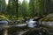 Collage landscape with pine trees in mountains and a river in front flowing to lake. Carpathian