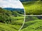 Collage of Malaysia,tea plantation in Cameron highlands