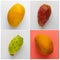 Collage of mango and prickly pear cactus. Square image