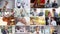 Collage with many different people in a variety of activities, jobs, businesses, studies and hobbies. Set collection of