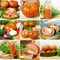 Collage of nine photographs of tomatoes and juice tomante