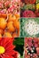 Collage of photographs of Fall Flowers and Vegetables