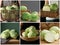 Collage of photos with fresh tasty cabbages