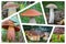 Collage of photos on theme of edible BOLETUS MUSHROOMS