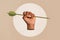 Collage picture of female hand holding arrow in round white circle struggling isolated over brown color background